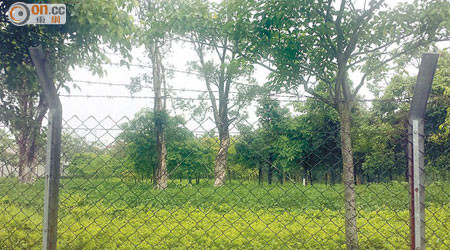 環保站選址現為綠化地區，遍植樹木。