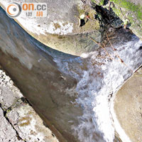 水管有大量水不斷滲出並湧至附近去水渠。