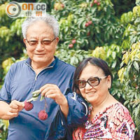 吳宏斌（左）夫婦盡情歎荔枝。（受訪者提供）
