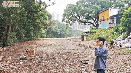 和興村有逾一個維園足球場般大的林地遭泥頭填平，張先生多次向政府部門投訴但不獲受理。