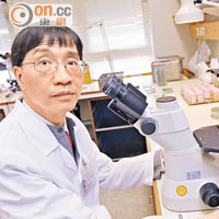 袁國勇指，咪喹莫特可刺激免疫細胞，使長者快速產生抗體。