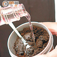 咖啡渣亦可以製成磨沙膏及按摩油。