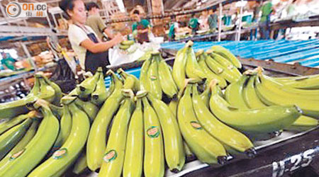 仍呈綠色的香蕉含有抗解澱粉。