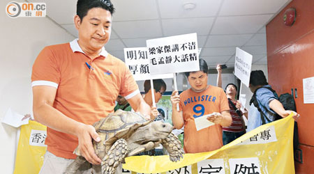 示威者帶同一隻大烏龜到公民黨總部抗議，諷刺該黨議員毛孟靜是「縮頭烏龜」。（蘇文傑攝）