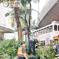 消防員與電車公司職員合力清理塌樹。（呂浩鋒攝）