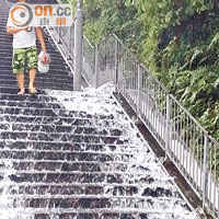 樂華南邨的樓梯不斷有雨水瀉下。（趙瑞麟攝）