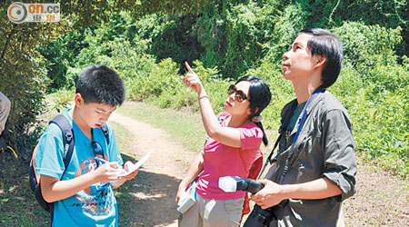 「愛蝶家庭」張氏一家擔任蝴蝶普查員，到郊區記錄蝴蝶的品種及數量。