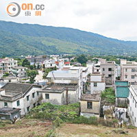 梧桐寨村及寨乪村一帶村屋於近四、五年間激增一倍。