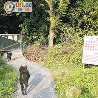 大蠔灣村口<br>大蠔灣村入口有兩頭黑狗恭候。