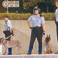 龍和道<br>警方出動警犬到龍和道戒備。