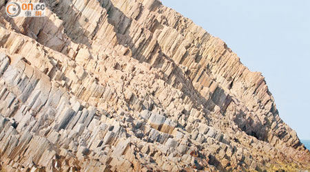 六角柱石分布在西貢海岸及島嶼。