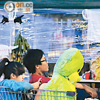清場在即，但仍有市民帶幼童前往佔領區，並坐在超市購物車上。