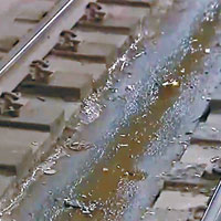 郭偉權被推落D線列車月台路軌。（互聯網圖片）