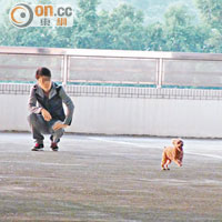 天水圍天澤邨車場<br>遛狗勝地