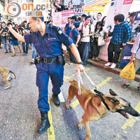 警員拖着兩隻警犬巡邏。
