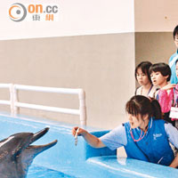 小朋友全神貫注細聽護理員講解海豚的日常習性。