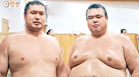 是次活動邀請兩名日本職業相撲選手即席較量。