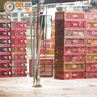 長沙灣臨時家禽批發市場內存放大批活雞。