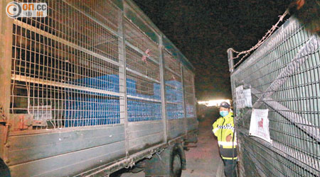 運送雞籠的貨車昨傍晚陸續抵達打鼓嶺檢查站。（胡家豪攝）
