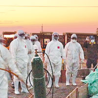 雲林<br>雲林縣多個養鵝場爆發H5N2，相關人員進行防疫措施。（互聯網圖片）