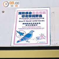邨內四周已有張貼「切勿餵飼野鳥」告示。