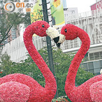 以雀鳥造型為主題的大型花壇成為是屆花卉展覽焦點。