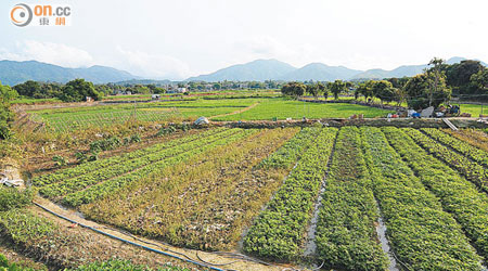 塱原是農業與生態和諧並存的成功案例。（香港自然生態論壇Jinpan提供）