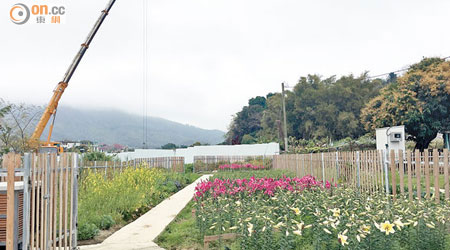 有公司將錦田謝屋村一塊二萬平方呎農田，劏成約九十塊出售。