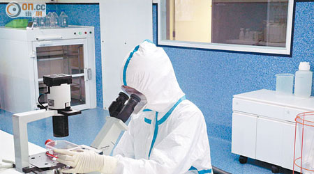 李明圓於實驗室進行登革病毒的細胞實驗。(受訪者提供)