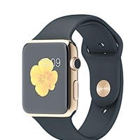 淘寶網有原價近九萬三千港元的Apple Watch放售，但叫價高逾十一萬元人民幣，有價無市。（淘寶網圖片）