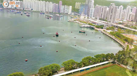 荃灣海旁昨出現大量白色污染物，將海面染白。（何先生提供）