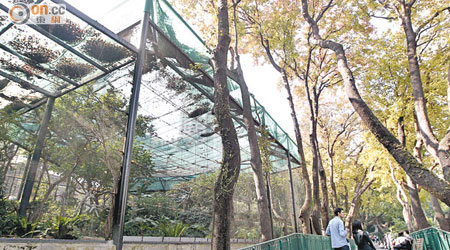 香港動植物公園百多年都無法種出具本土特色的名樹。（高嘉業攝）