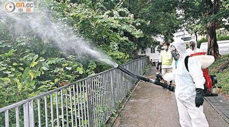 保持環境衞生及滅蚊可防止登革熱傳播。
