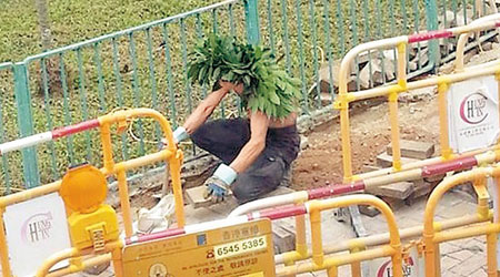 網上流傳有修路工人用樹葉製「綠帽」遮太陽。（互聯網圖片）