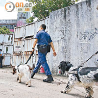 警員攜同警犬在地面搜查可疑物品。