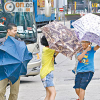 昨傍晚雖無大風雨，但強風仍吹得市民東歪西倒。