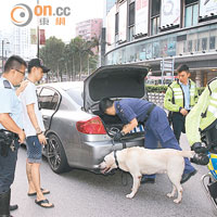 緝毒犬奉召到荃灣現場搜車。（葉嘉文攝）