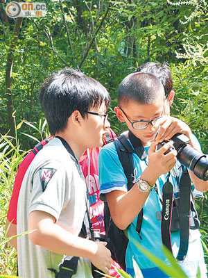 園方舉行觀蝶及攝影大賽灌輸市民保育意識。