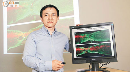 劉凱指出，首次發現剔除「PTEN」基因後，有助皮質脊髓束再生。