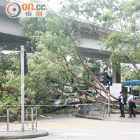 筲箕灣<br>警方在塌樹現場調查。（馬竟峯攝）