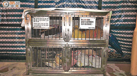 長沙灣遊樂場<br>本報於長沙灣遊樂場將近關門時視察儲物籠，發現籠內物多日未清。