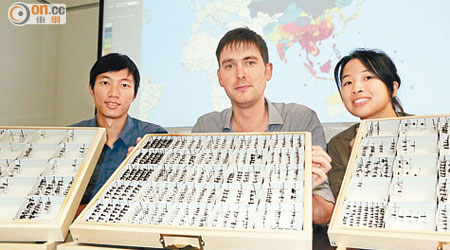 管納德（中）指，去年發現廿七個香港新記錄的螞蟻品種，當中十二個更屬全球首次發現。（朱晉呈攝）