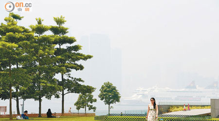 本港昨日各區空氣質素欠佳，天空灰蒙蒙一片。（蕭毅攝）