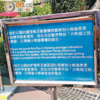 園方豎起告示牌指，「大熊貓之旅」會閉館供柔柔準備迎接寶寶的誕生。（市民羅小姐提供圖片）