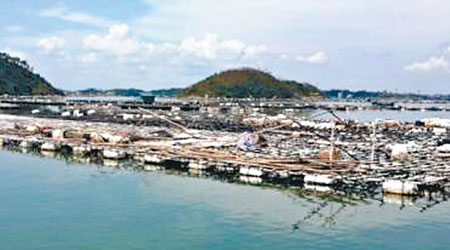 鄰近天津的大連港養殖場出產如鮑魚等深受港人喜愛的海產。（互聯網圖片）
