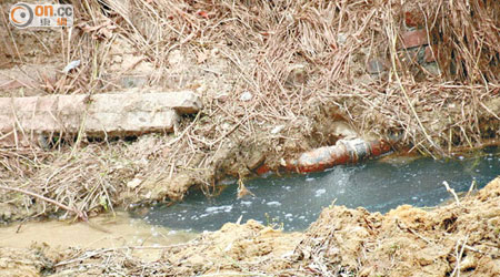 粉嶺上輋村一私家食水管漏水，浪費珍貴水資源。