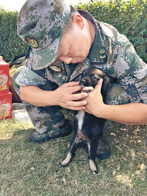 防化官兵昨救出一隻幸存小狗。（中新社圖片）