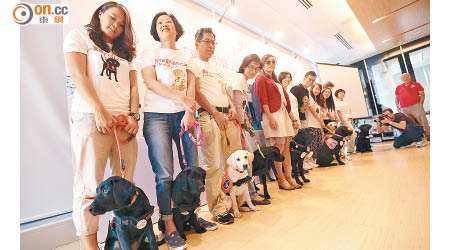 「愛心引路」社區關愛計劃共引進八隻導盲幼犬。（陳章存攝）