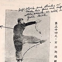 「李小龍秘笈」 部分心得 <br>第34式：右掠翅踢腿 <br>擋格左方，遮掩或攻擊其面及右方，同時溜進施以右撩陰腿。