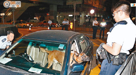 警員召緝毒犬協助搜查。（楊偉嶽攝）